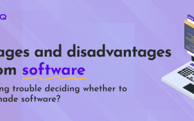 Advantages and Disadvantages of Custom Software