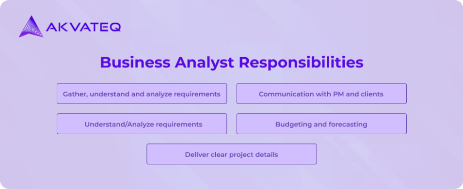 business analyst responsibilities