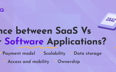 What Distinguishes A SaaS Platform From Regular Software Applications? SaaS Platform vs Regular Software