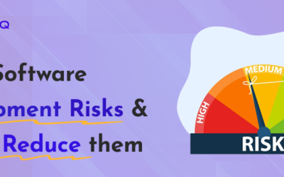 15 Top Software Development Risks & How to Reduce Them