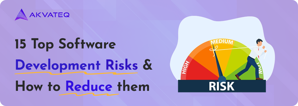 Software Development Risks